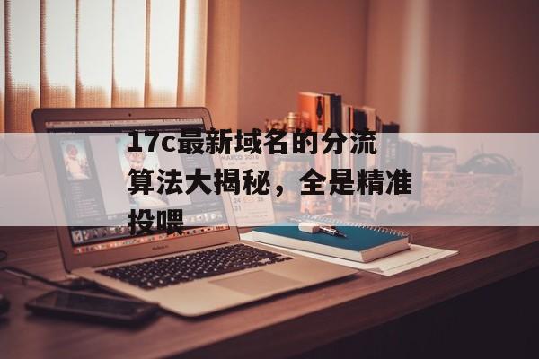 17c最新域名的分流算法大揭秘，全是精准投喂